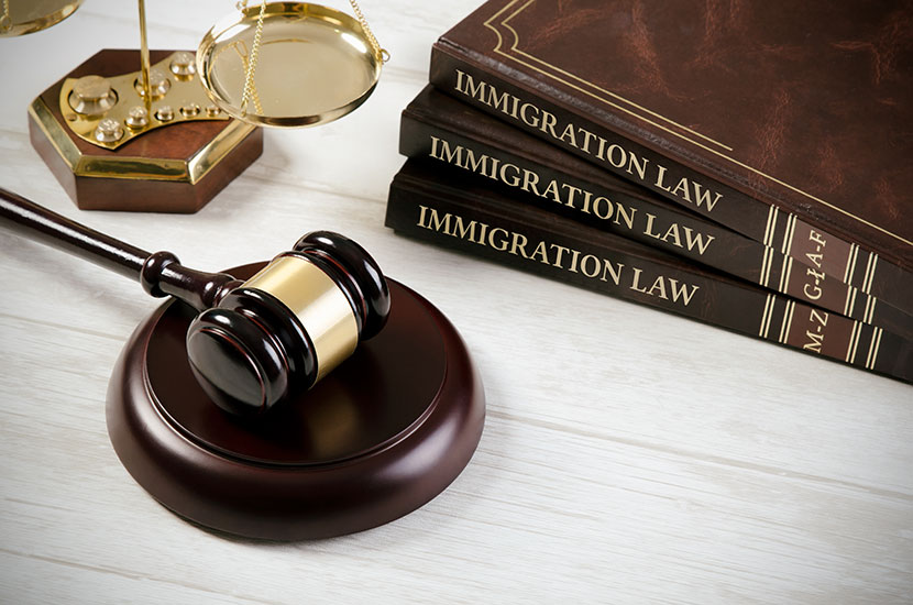 Top Immigration Lawyers: How to Choose the Best